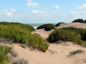 Terreno · 1170000m² · Venta de 11 Hectáreas Frente Al Mar - Nueva Atlantis