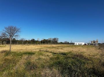 Terreno · 1495m² · Lote en Venta con Escritura Financiado Los Pinos Las Acacias