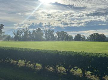 Terreno · 100000ha · Chacra de 10 Hectáreas en Venta en General Rodriguez