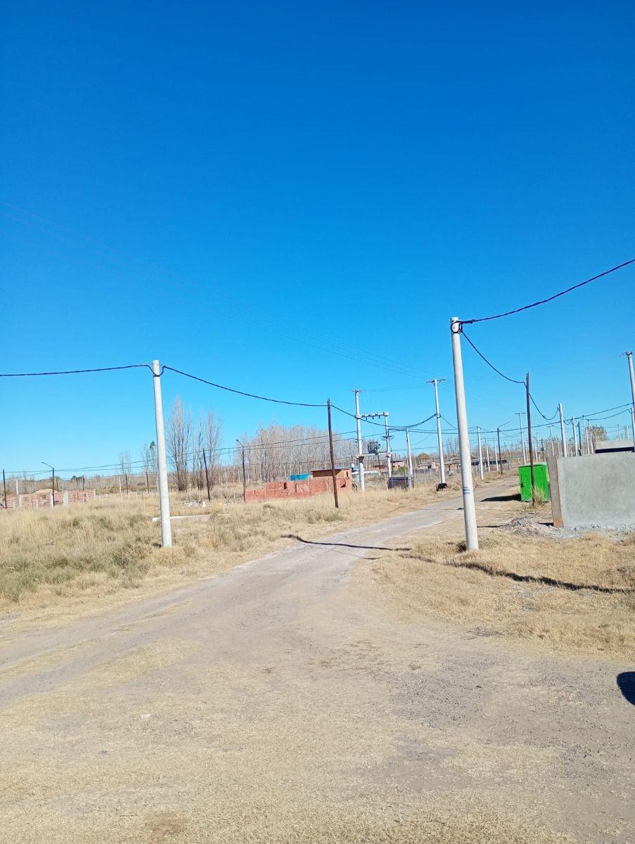 China Muerta, Plottier, Neuquén