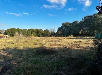 Terreno , San Antonio de Areco · Venta| Terreno S. A. de Areco