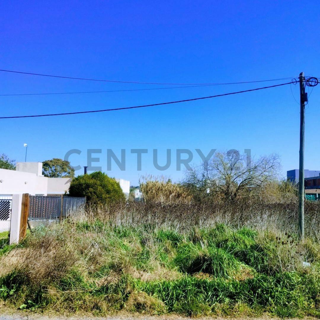 141 entre 36 y 37 ., La Plata, La Plata