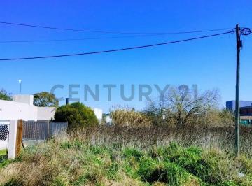 Terreno · 600m² · 141 Entre 36 y 37, Lote en Venta, San Carlos.