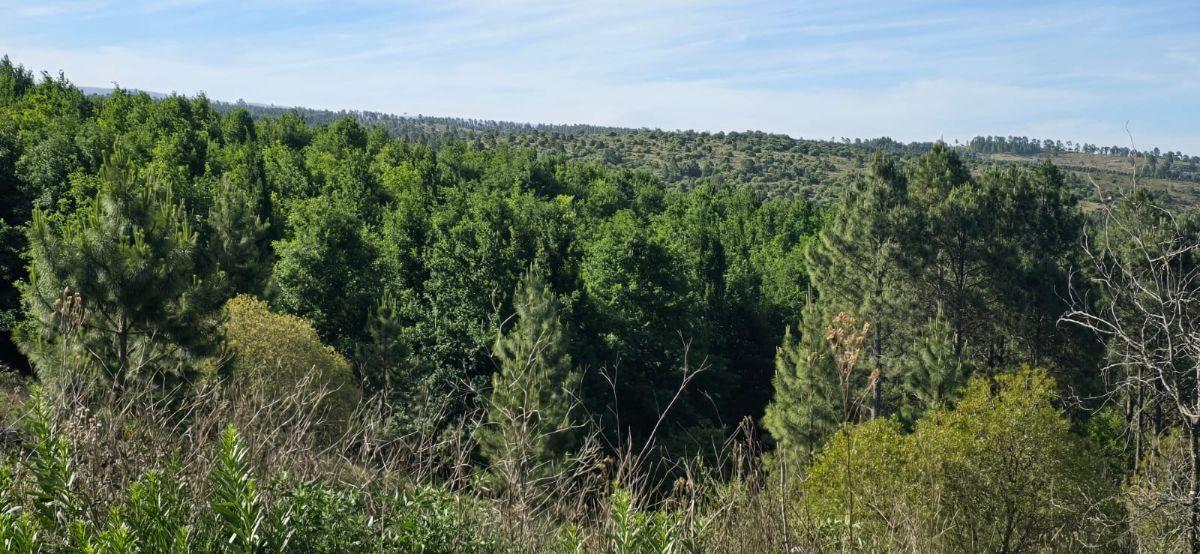 Intiyaco, Intiyaco, Córdoba