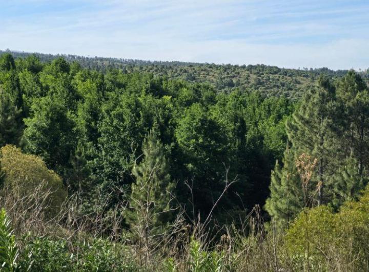 Terreno · 330573m²
