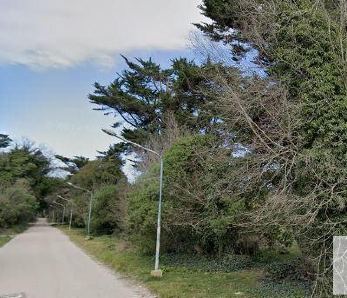 Diagonal Homero Manzi e/ Avenida José Coelho de Meyrelles y Leopoldo Marechal, Mar del Plata, Buenos Aires Costa Atlántica