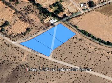 Terreno · 7500m² · Terreno 7.500 m² Calle Florida S/n Barreal. San Juán