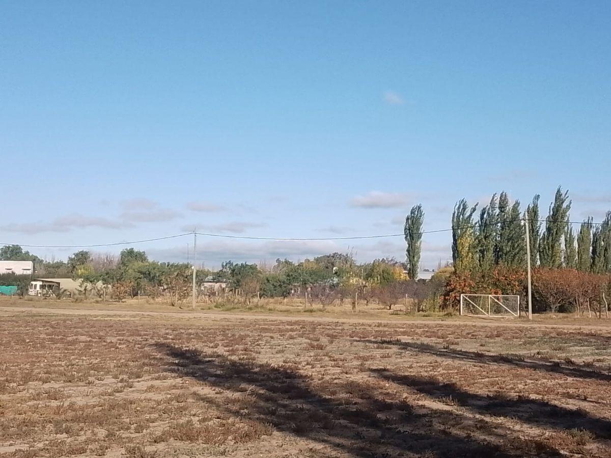 Calle Gutiérrez, Rama Caída, Mendoza
