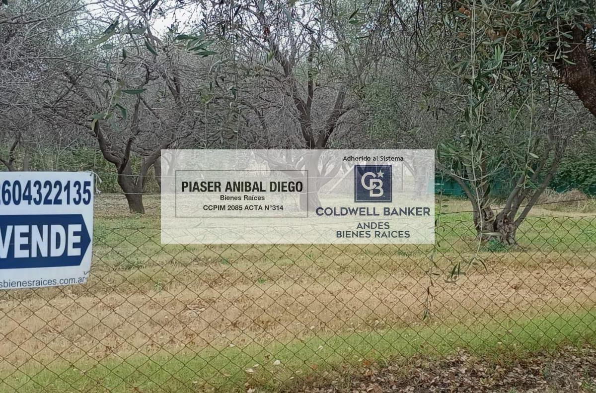Terreno Calle Simón Bolivar Esquina Beltran, San Rafael, Mendoza