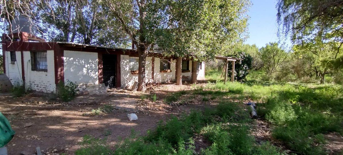 Puebla Esq. Costa Canal S/N, Lavalle, Mendoza