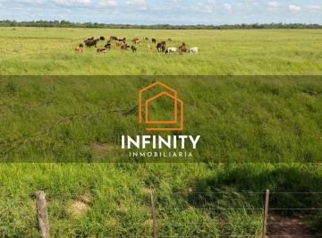 Campo · 84641400ha · Campo en Dragones