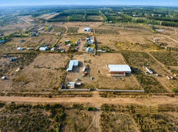 Oficina comercial · 37m² · 3 Ambientes · 10 Cocheras · Alquiler Predio de 5000 m² con Oficina Moderna y Base Operativa en Centenario, Neuquén.