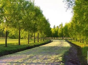 Terreno · 1000m² · Terreno en Venta - 1000 m² - Posadas de Los Lagos