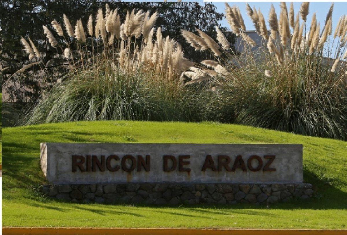 Rincón de Aráoz S/N, Luján de Cuyo, Mendoza