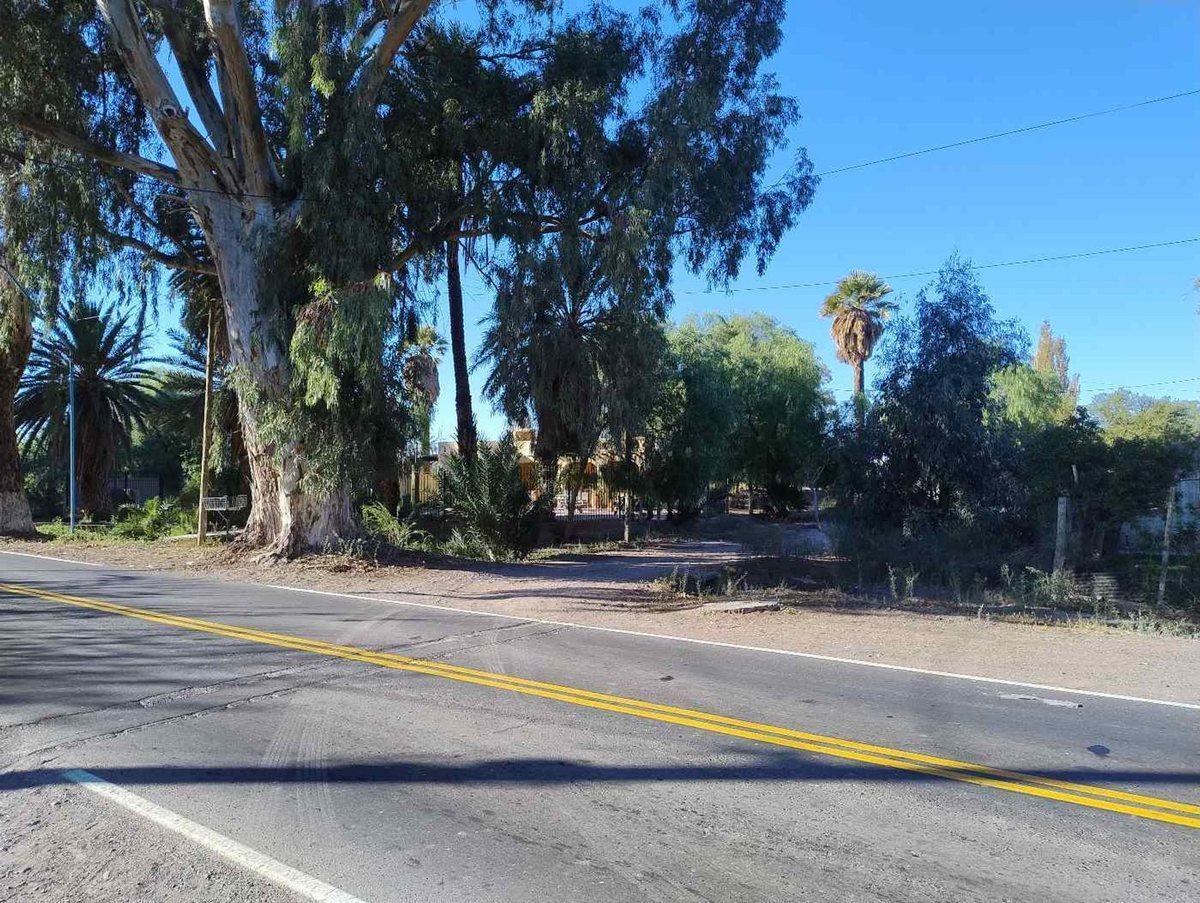 Lote 8 Av Sarmiento S/N, La Cañada, San Juan