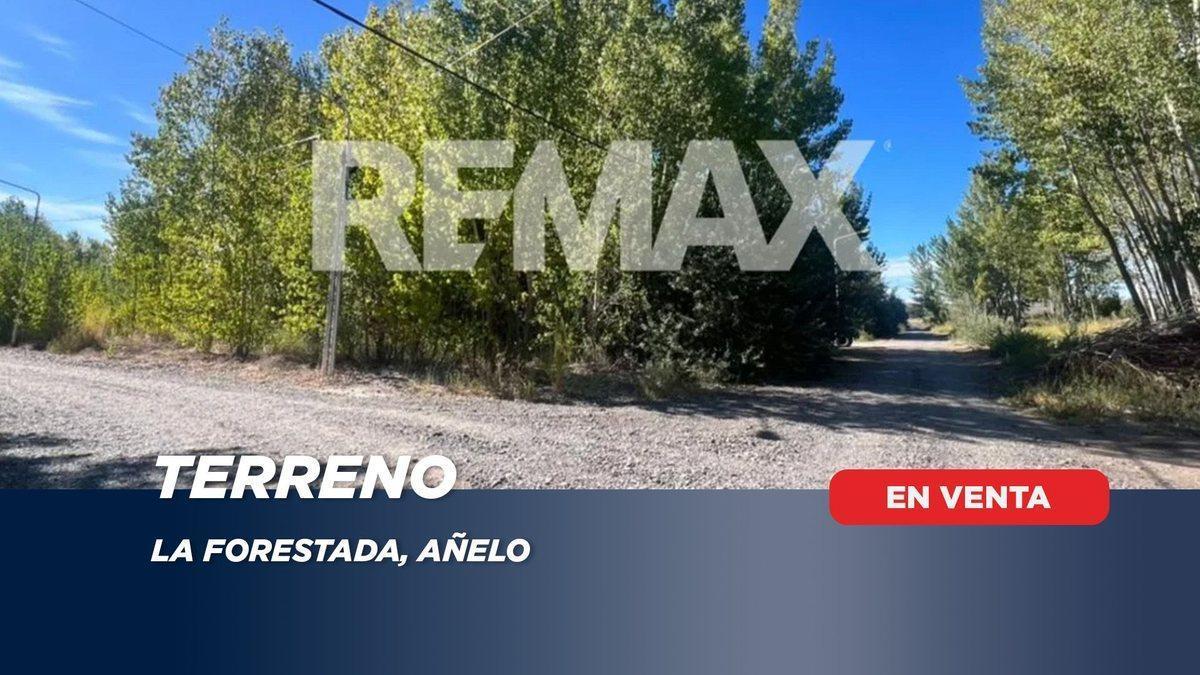 Calle Desconocida S/N, Añelo, Neuquén