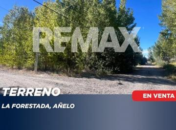 Terreno · 735m² · Lote en La Forestada Añelo, Neuquen