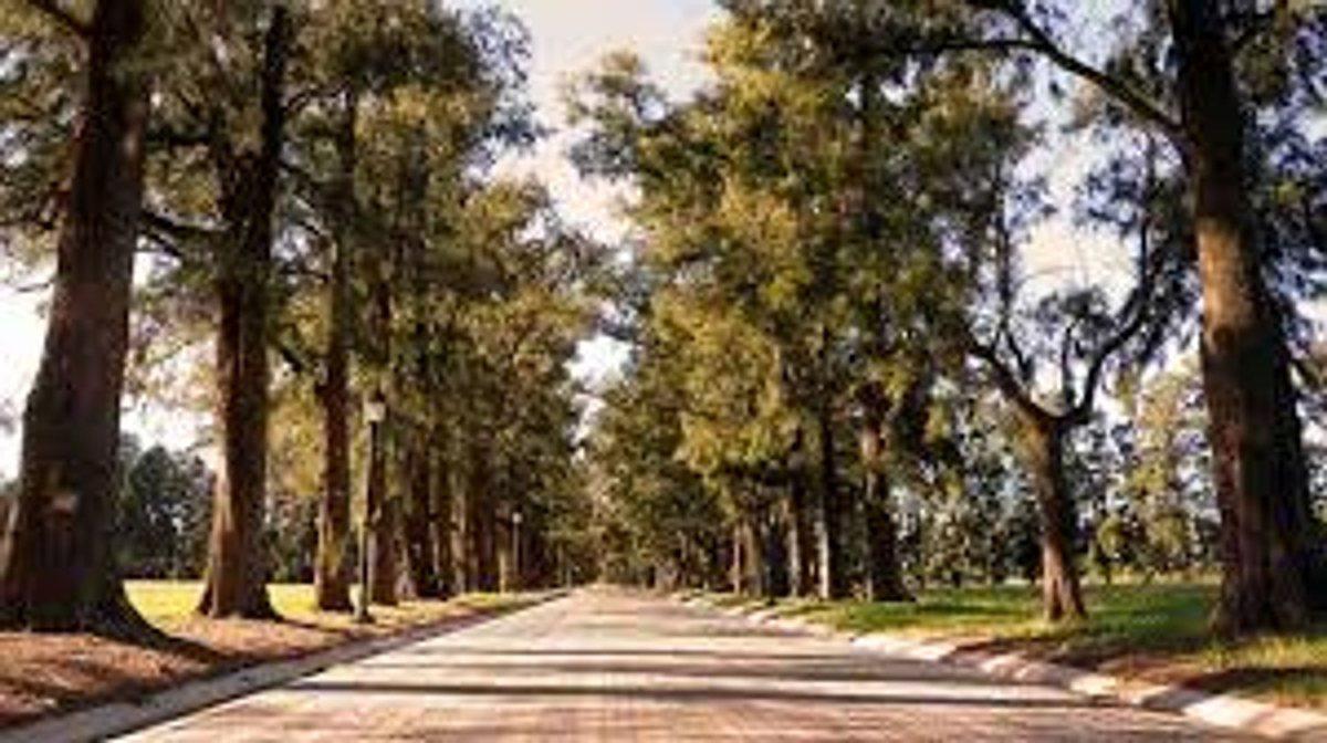 Ruta Provincial 21 0, Fighiera, Santa Fe