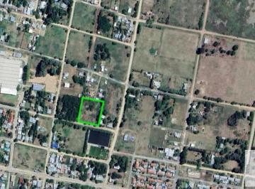 Terreno · 3383m² · Terreno en Venta - 3.383 m² - Carmen de Areco