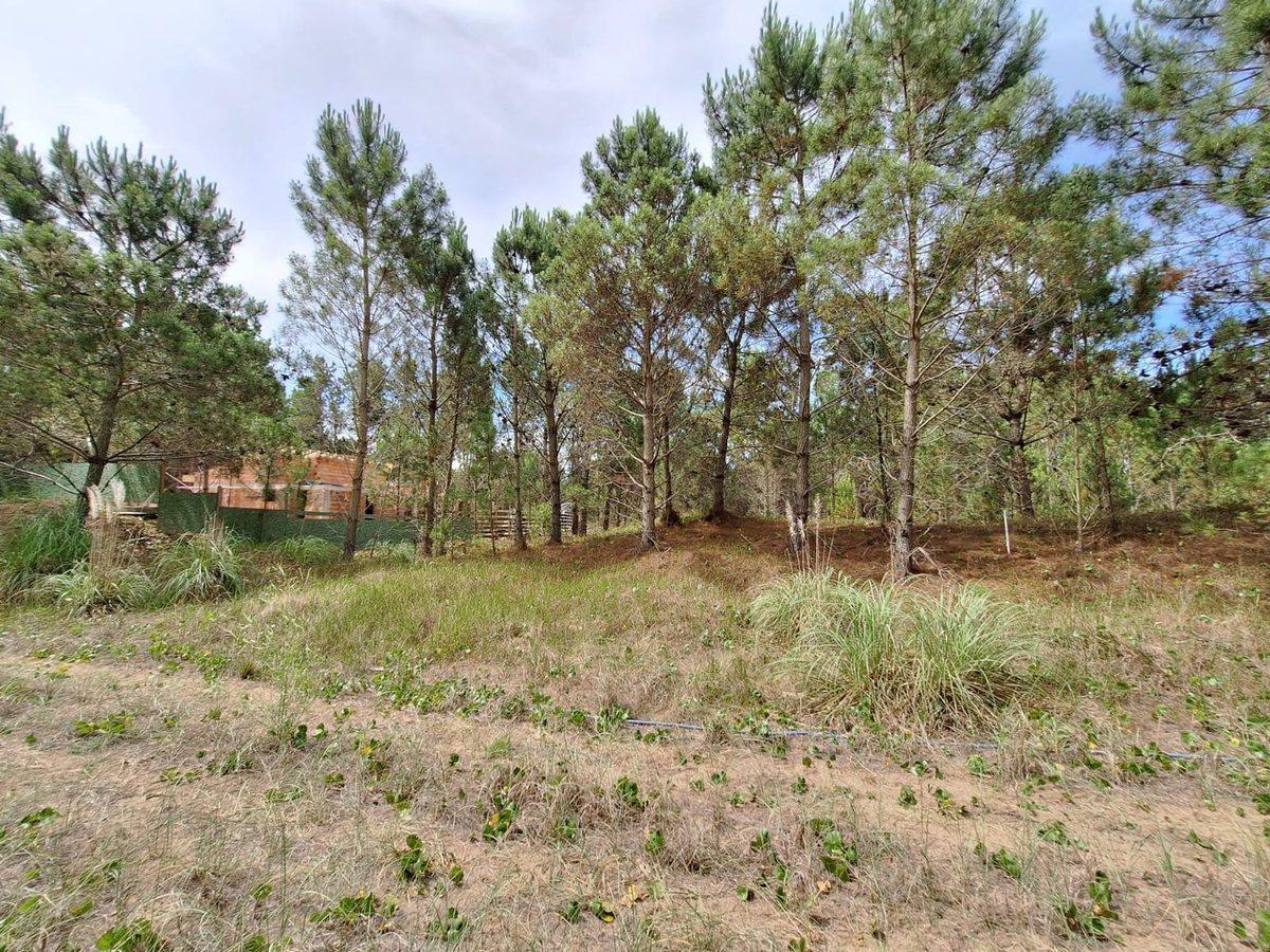 Ruta Provincial 11 Km 374 400,  Villarobles, Buenos Aires Costa Atlántica