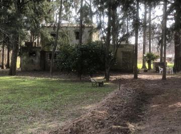 Terreno · 86872696m² · Lote 8.6 Ha Escobar Buenos Aires