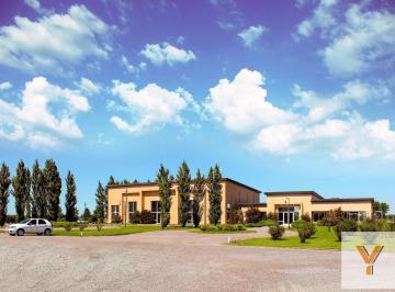 Terreno · 1183m² · Terreno en Venta - 1.183 m² - Finca Joven