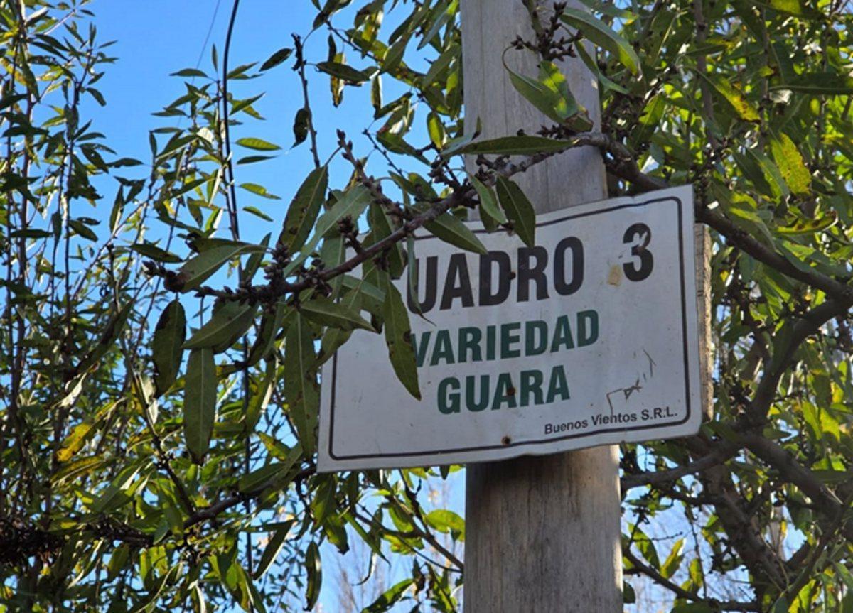 Calle 5 S/N, Sargento Vidal, Río Negro