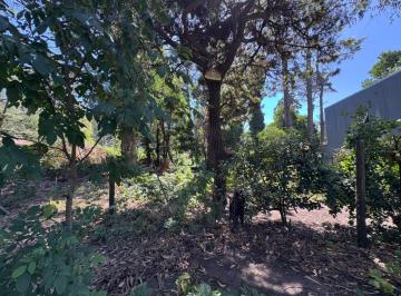 Terreno · 450m² · Venta - Lote en Esquina 450 m² – Bosque Peralta Ramos