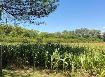 Campo · 118ha · Chacra en Venta en Bragado