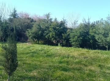 Terreno , Piñero · "El Bosquecito" Lote Cerca de Rosario