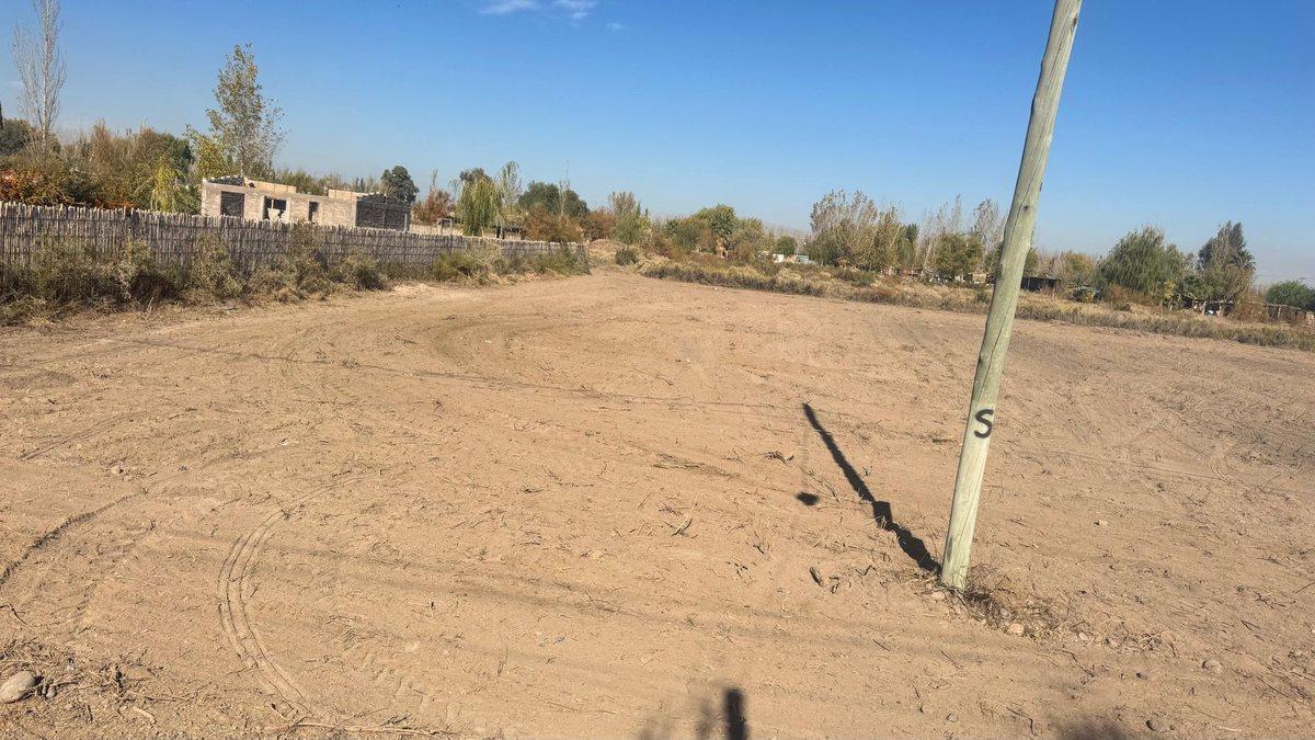 Milagros 8000,  Rodeo de la Cruz, Mendoza