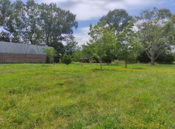 Campo · 300ha · Chacra en Venta Atalaya de 2 Ha con Arboles