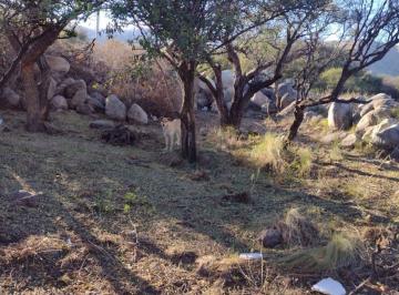 Terreno · 1584m² · Venta de Terreno Barrio Cerrado El Pilar