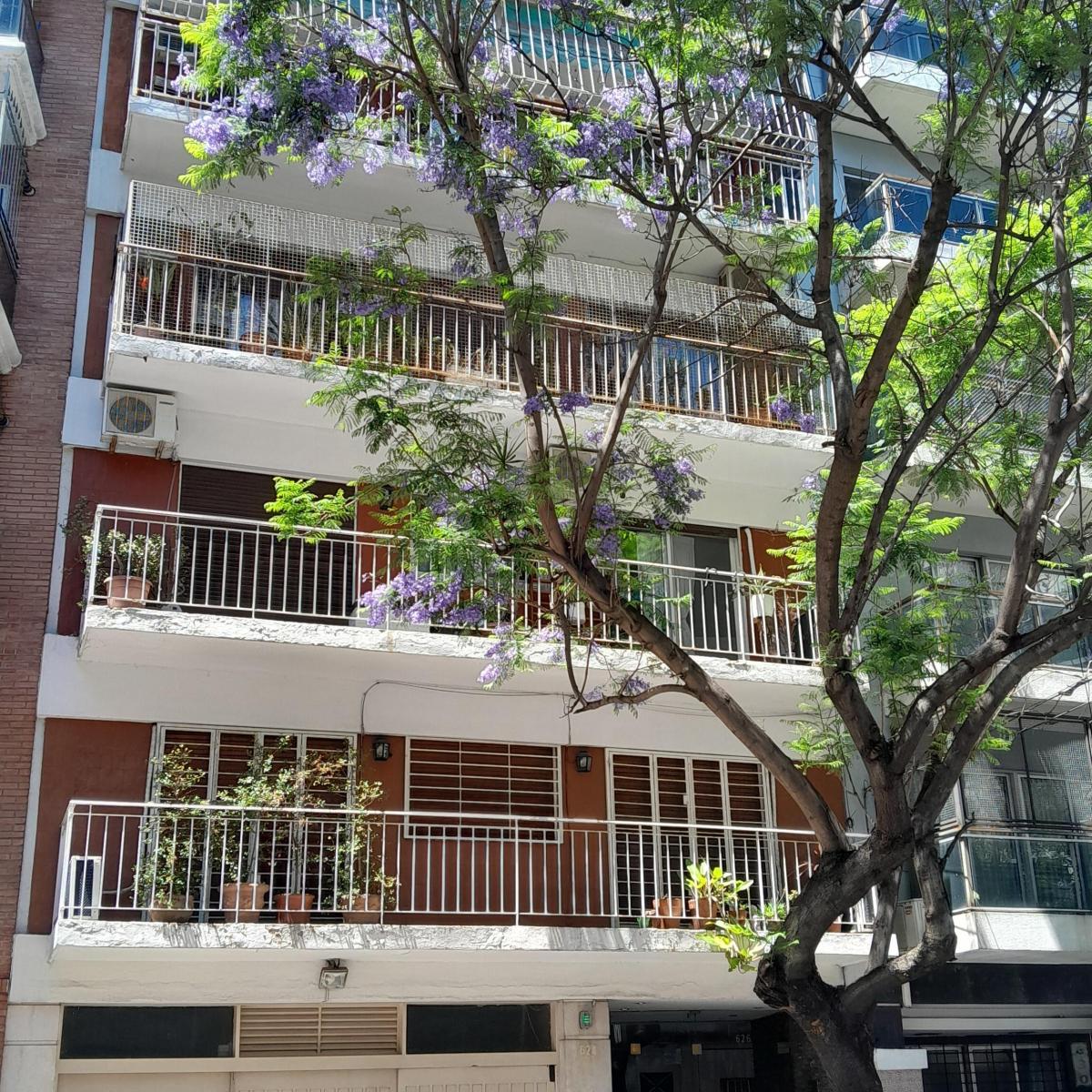 Formosa 626