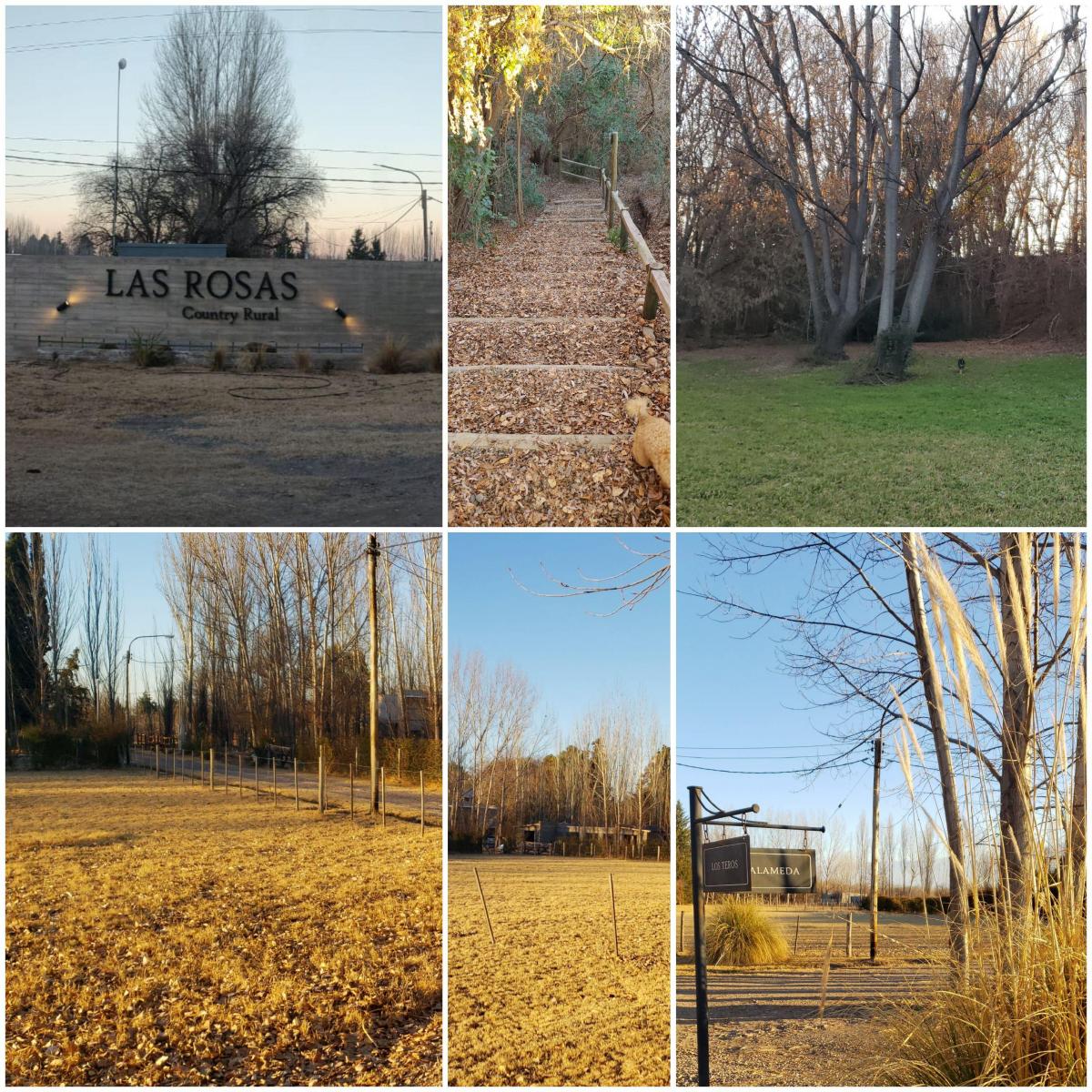 Otero, Colonia Las Rosas, Mendoza