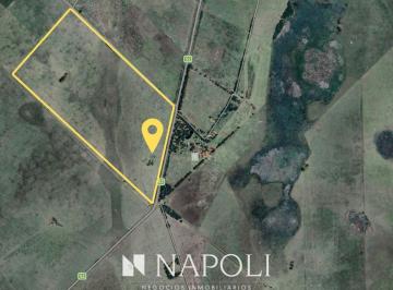 NNI-NNI-4096_2 · Venta de Campo en Canning