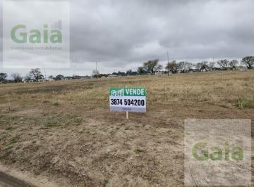 Terreno · 324m² · Terreno en Venta en Ampliación Via Aurelia