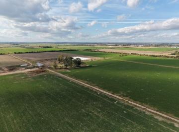 Campo · 610000ha · Campo en Venta 60 Ha