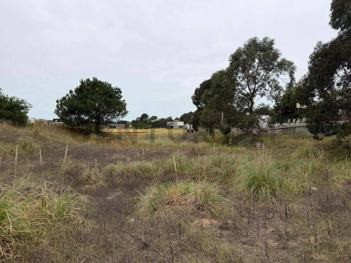Lote 100, Ecuestre, Costa Esmeralda