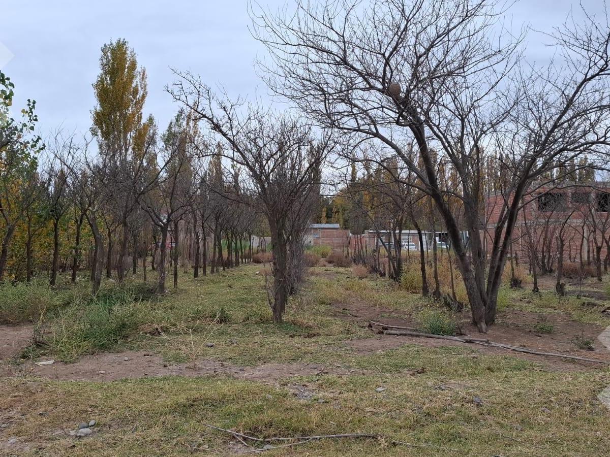En Venta | Lote de 200 m2 | Barrio Don Vicente | Neuquén, Neuquén, Neuquén