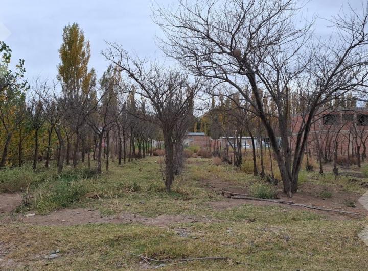 Terreno · 200m²