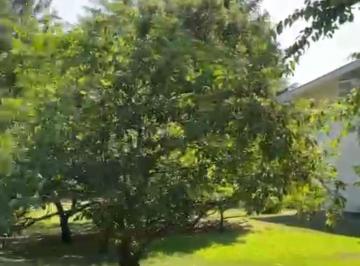 Terreno · 300m² · Venta Terreno en El Pato Financiación Gran Oportunidad