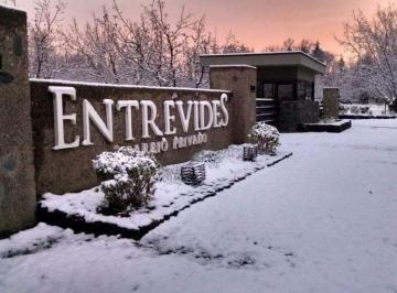 Terreno · 1000m² · Terreno en Venta en Barrio Entrevides, Tupungato, Mendoza