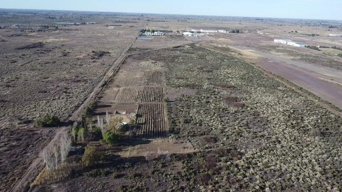 Finca calle Cremaschi, Palmira, Mendoza