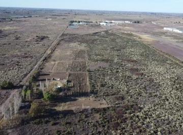 Terreno , Palmira · Finca Nueva Rn7 y Palmira