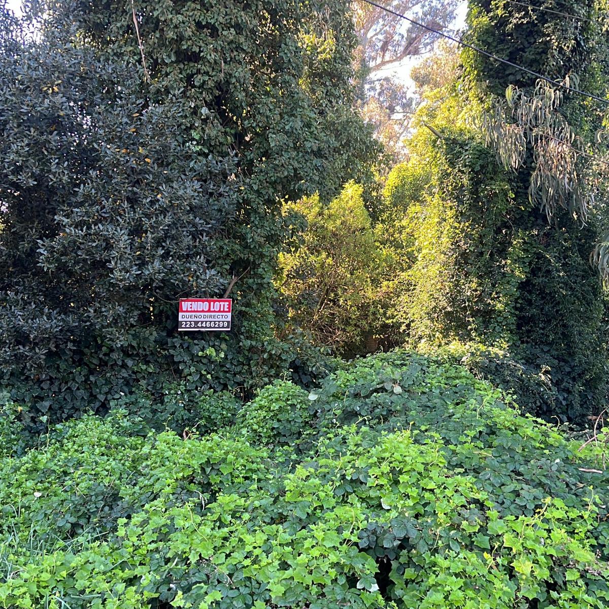 Boulevard Nuevo Bosque & Mangore, Bosque Peralta Ramos, Mar del Plata