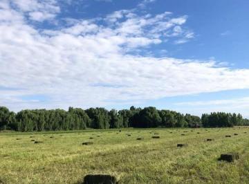 Terreno en Venta de 2 ambientes · Finca en Tunuyan Mendoza