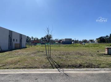 Foto Principal · Lote Venta Barrio Santa Sofía - Interno - 519 m² #id 24815