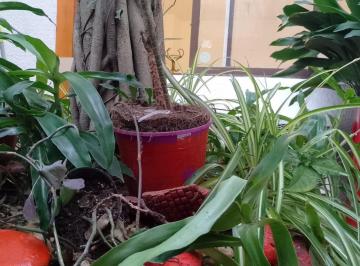 Departamento de 1 ambiente, Barrio Norte · Dueño Alquila Depto 1 Amb Alto Palermo