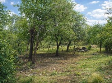 Terreno , Unquillo · Amplio Terreno de 3000 m² Cabana - Unquillo